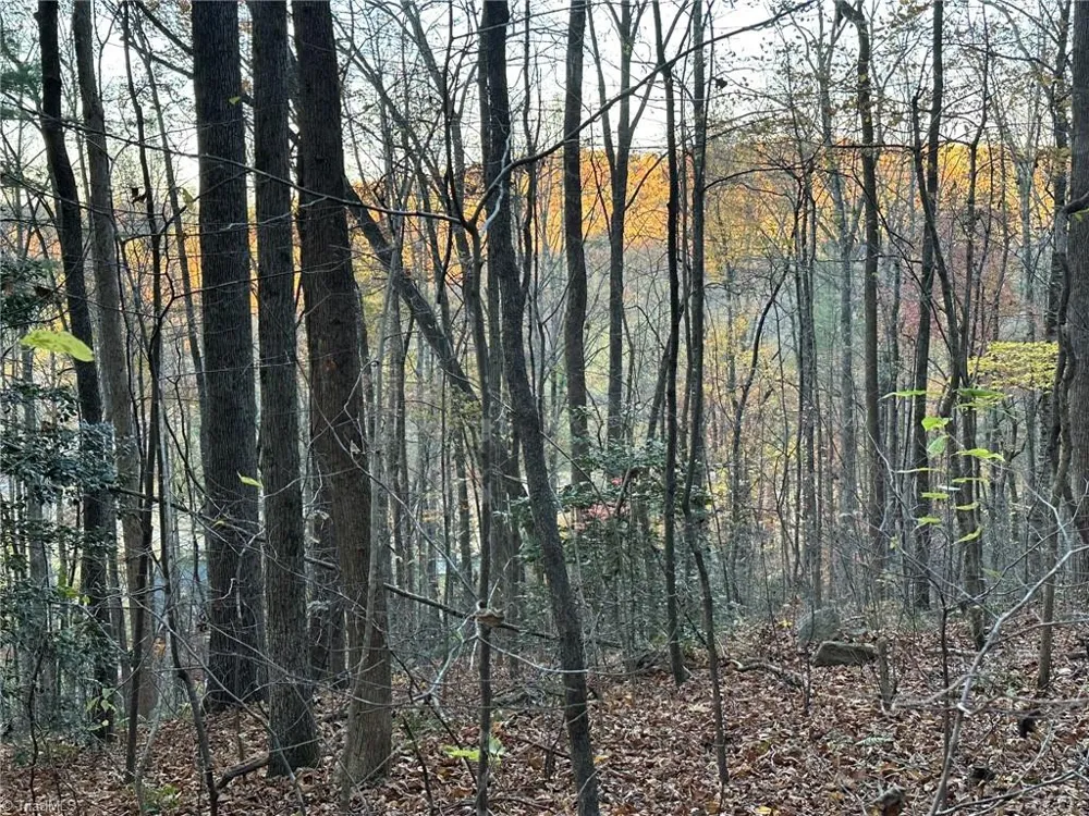 00 Balls Mill Road North Wilkesboro, NC 28659
