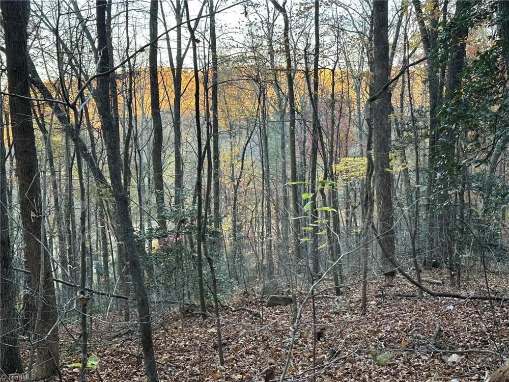 00 Balls Mill Road North Wilkesboro, NC 28659