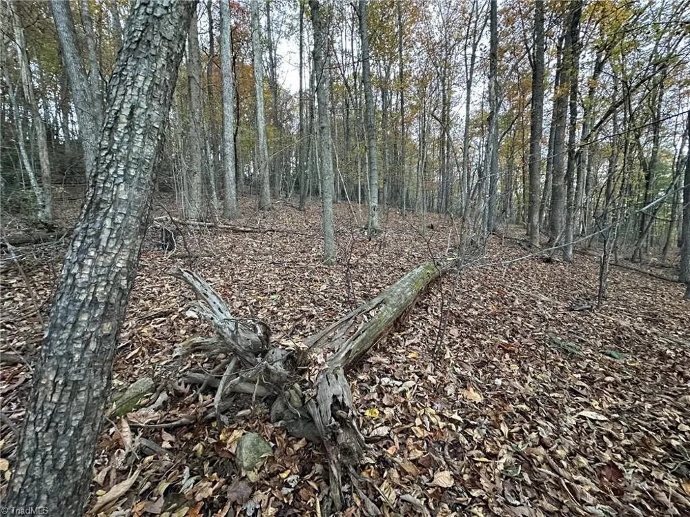 00 Balls Mill Road North Wilkesboro, NC 28659