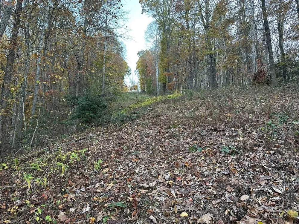 00 Balls Mill Road North Wilkesboro, NC 28659