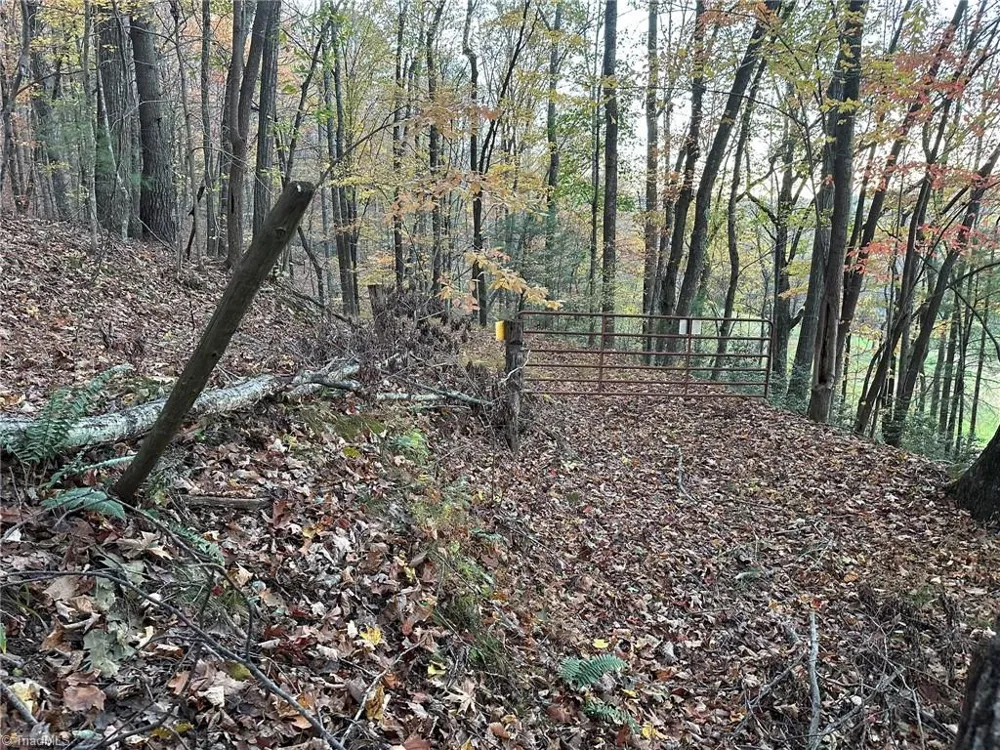 00 Balls Mill Road North Wilkesboro, NC 28659
