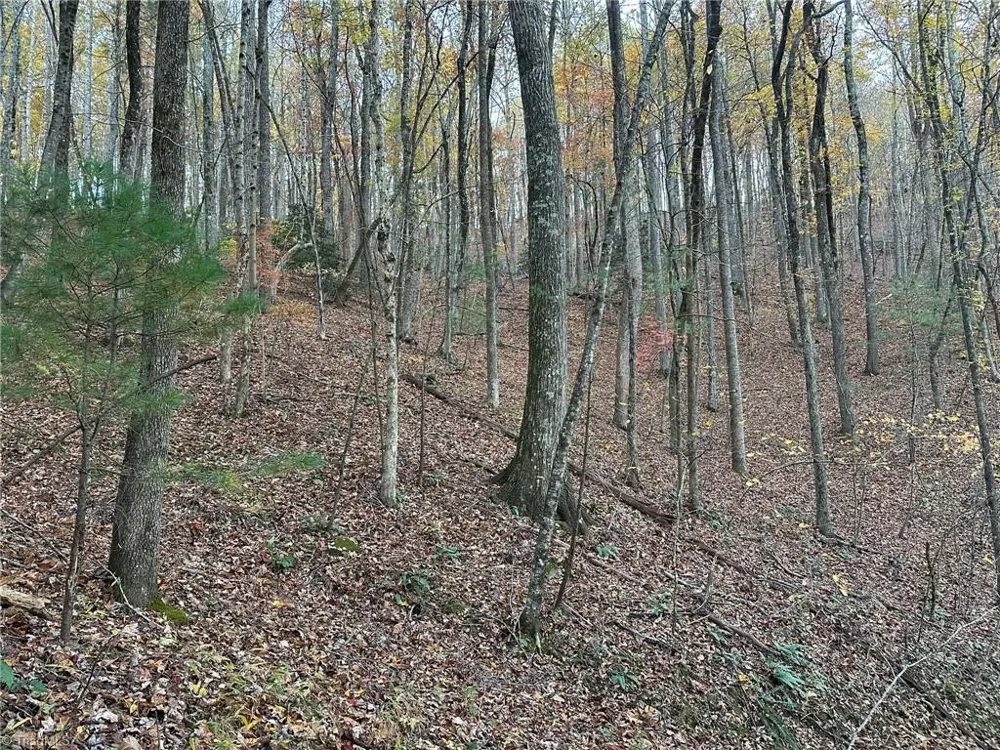 00 Balls Mill Road North Wilkesboro, NC 28659