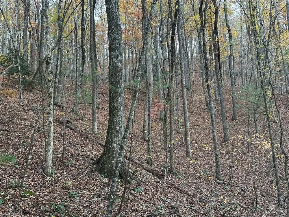 00 Balls Mill Road North Wilkesboro, NC 28659