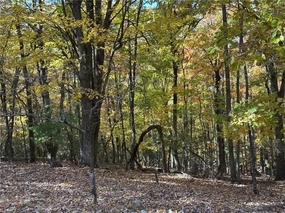 00 Balls Mill Road North Wilkesboro, NC 28659