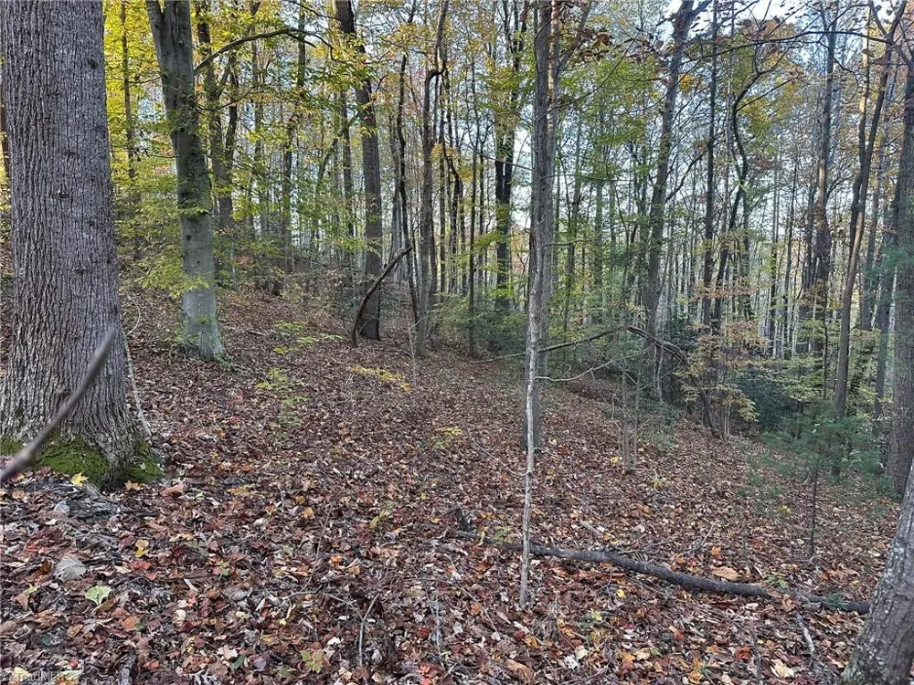 00 Balls Mill Road North Wilkesboro, NC 28659