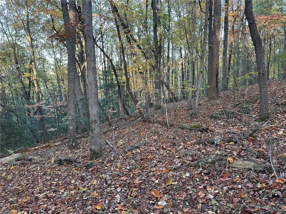 00 Balls Mill Road North Wilkesboro, NC 28659