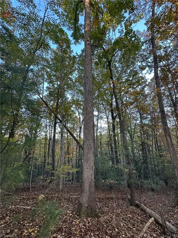 00 Balls Mill Road North Wilkesboro, NC 28659