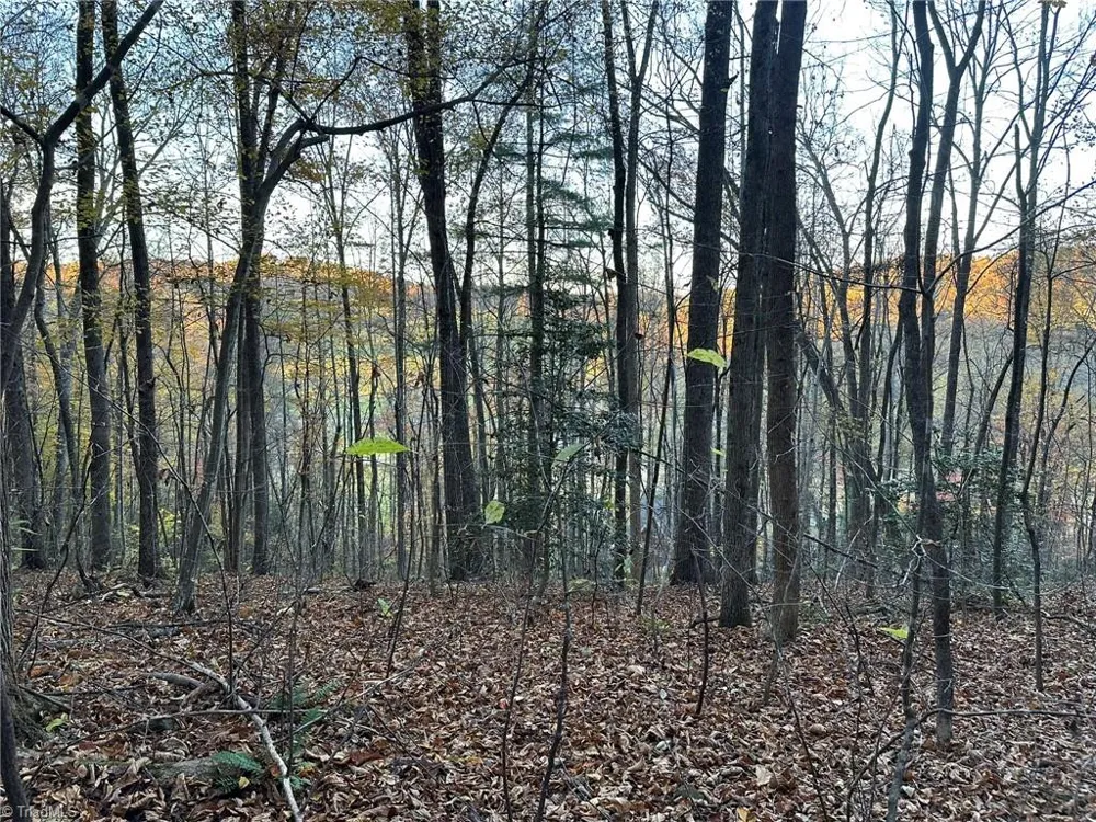 00 Balls Mill Road North Wilkesboro, NC 28659
