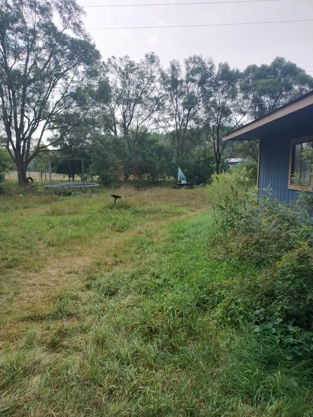 3626 Bittersweet Drive Columbiaville, MI 48421