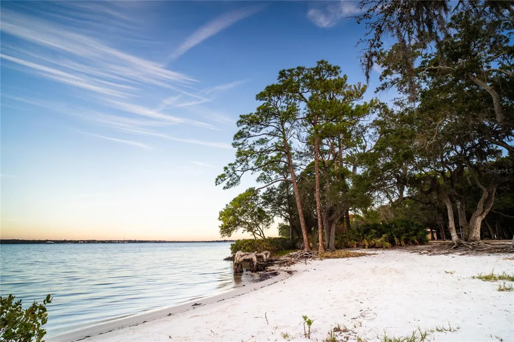 508 WASHINGTON AVENUE Oldsmar, FL 34677