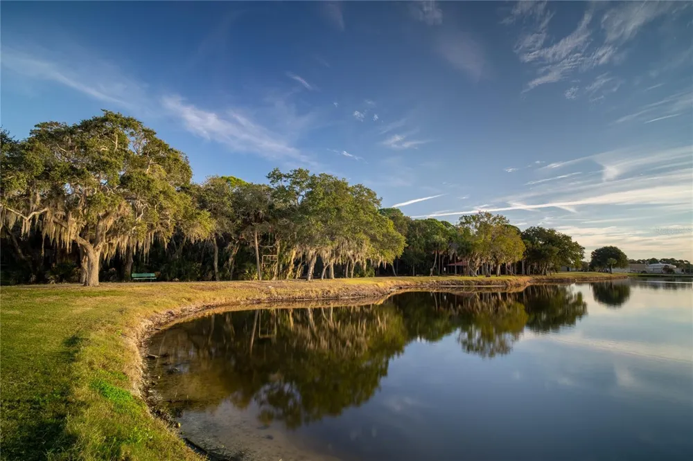 508 WASHINGTON AVENUE Oldsmar, FL 34677