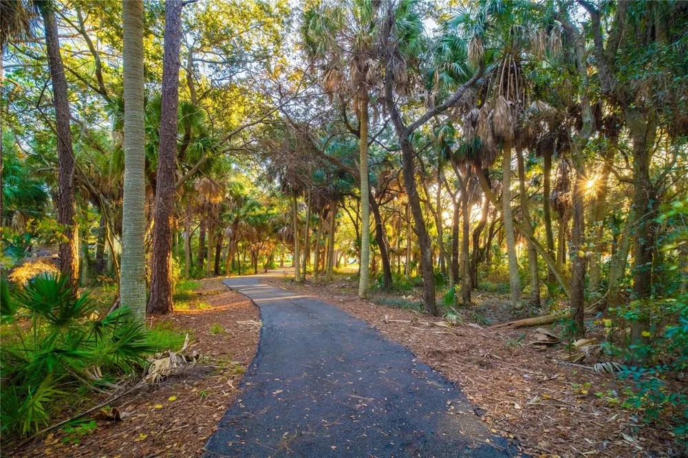 508 WASHINGTON AVENUE Oldsmar, FL 34677