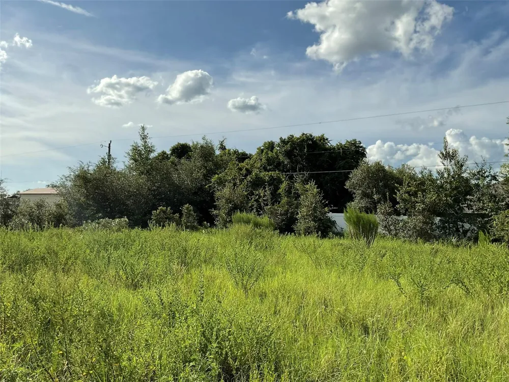 883 TRUMBULL STREET Deltona, FL 32725
