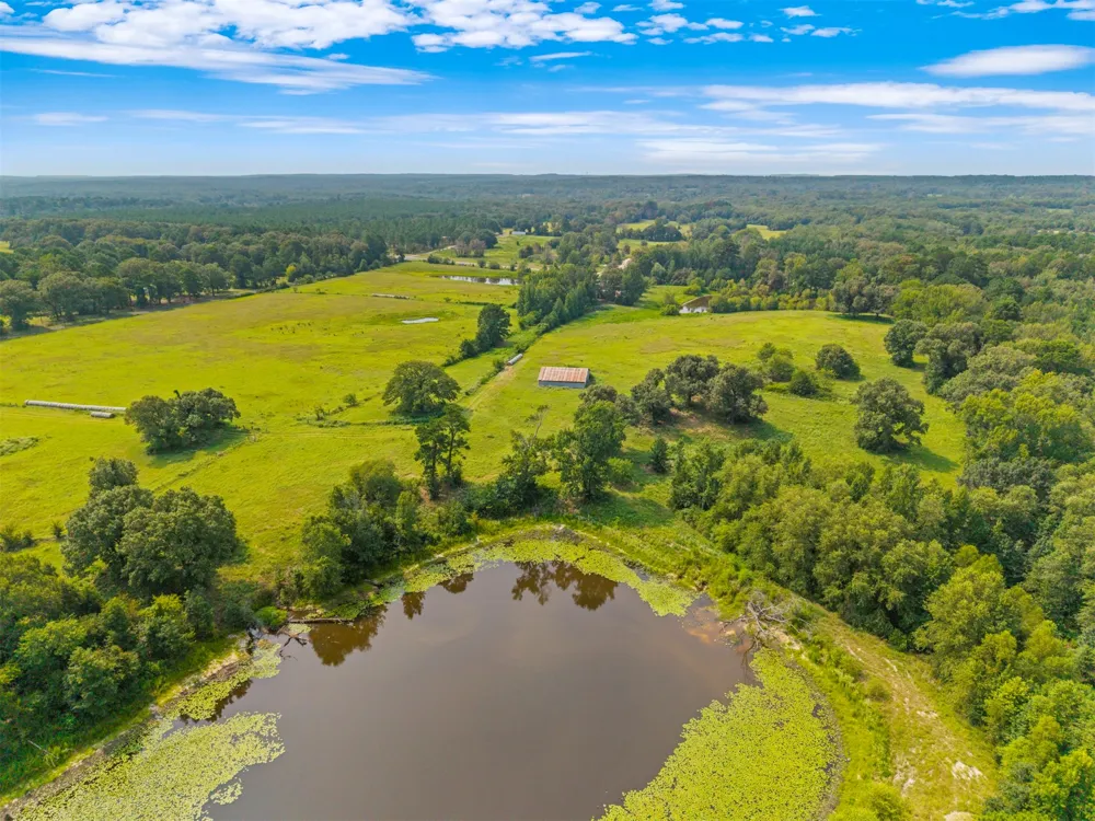 3349 E State Highway 154 Quitman, TX 75783