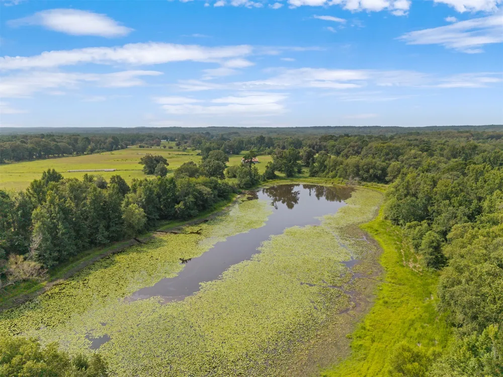 3349 E State Highway 154 Quitman, TX 75783