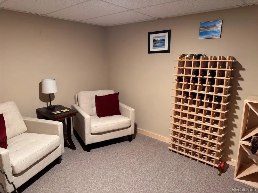 41 Granada Court Silver Cliff, CO 81252