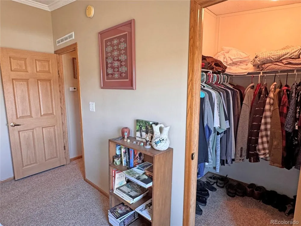41 Granada Court Silver Cliff, CO 81252