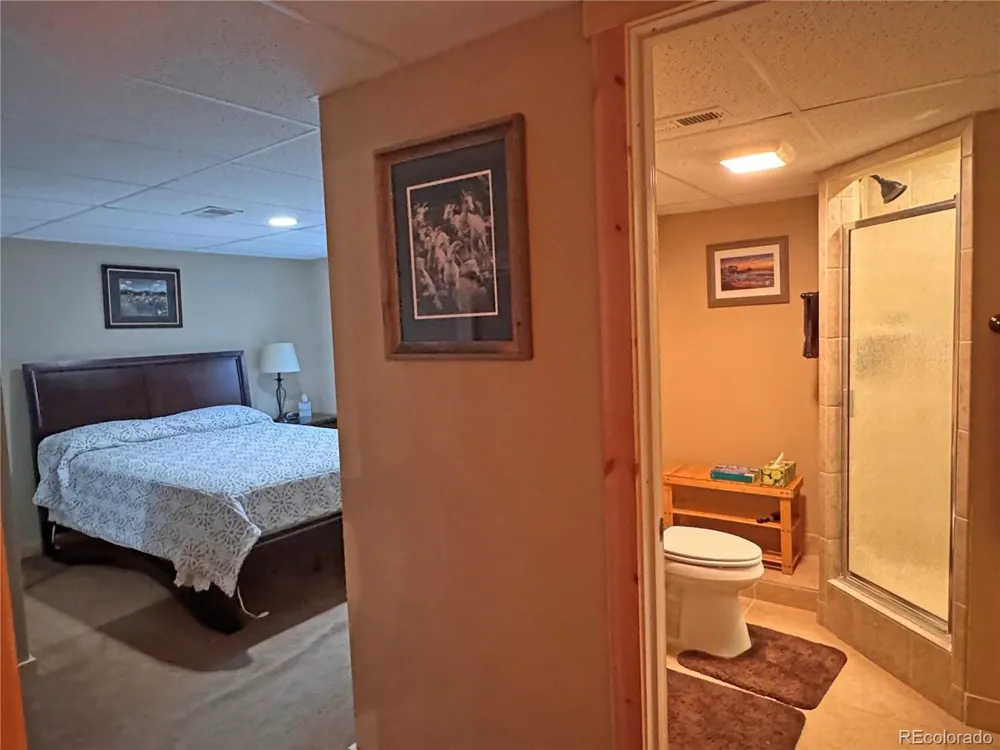 41 Granada Court Silver Cliff, CO 81252