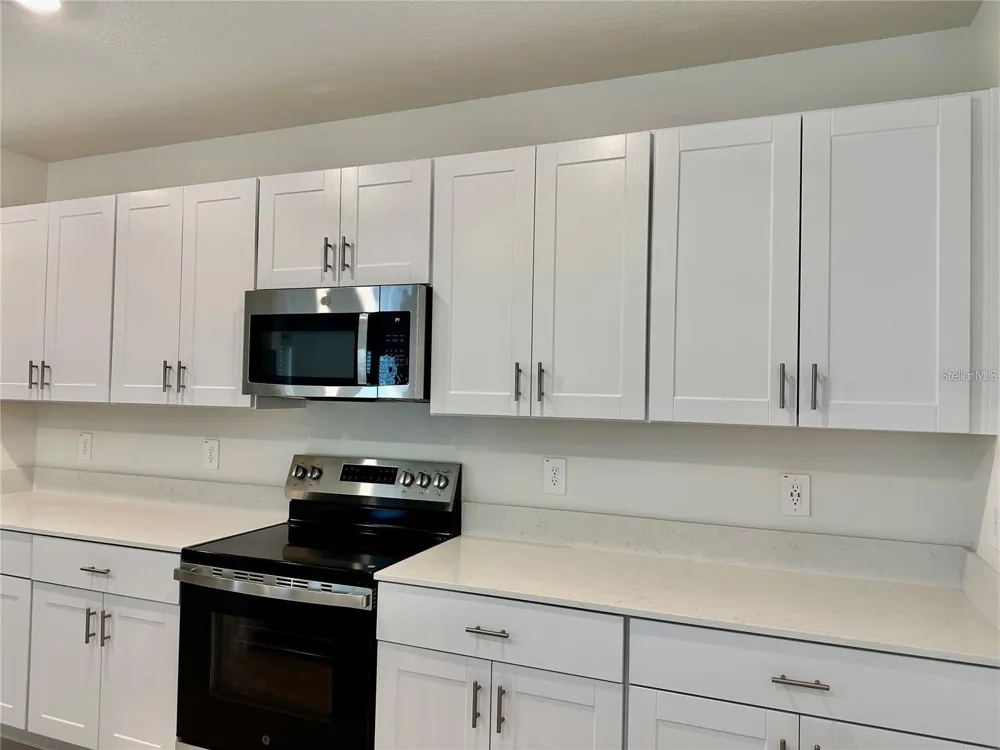 17606 HAPPYTRAILS STREET Land O Lakes, FL 34638