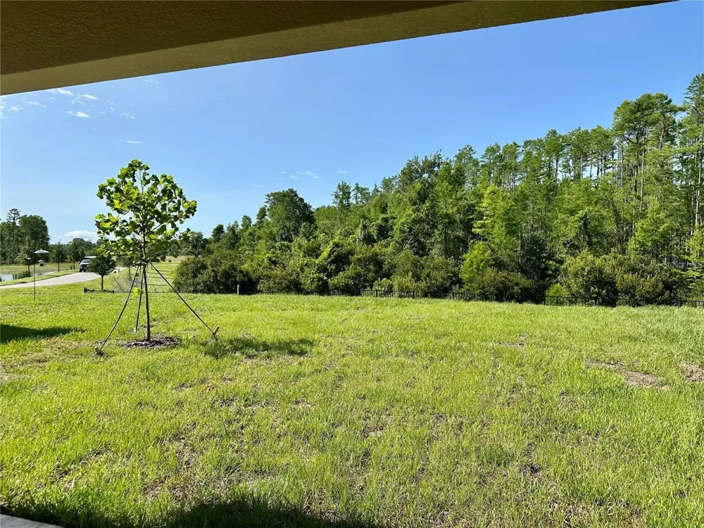 17606 HAPPYTRAILS STREET Land O Lakes, FL 34638
