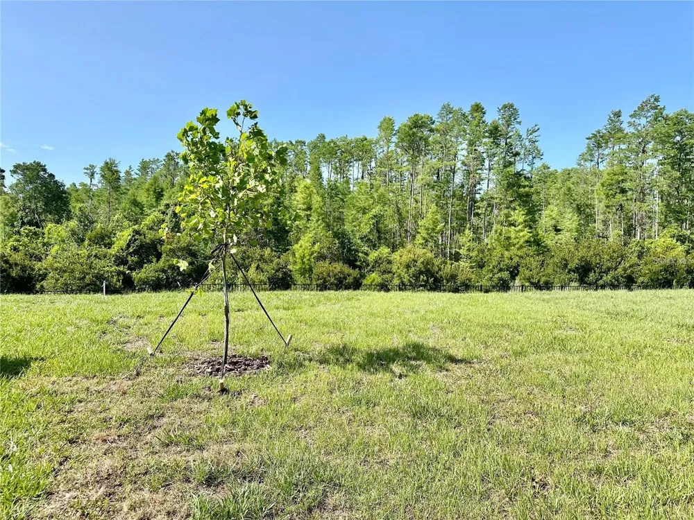 17606 HAPPYTRAILS STREET Land O Lakes, FL 34638