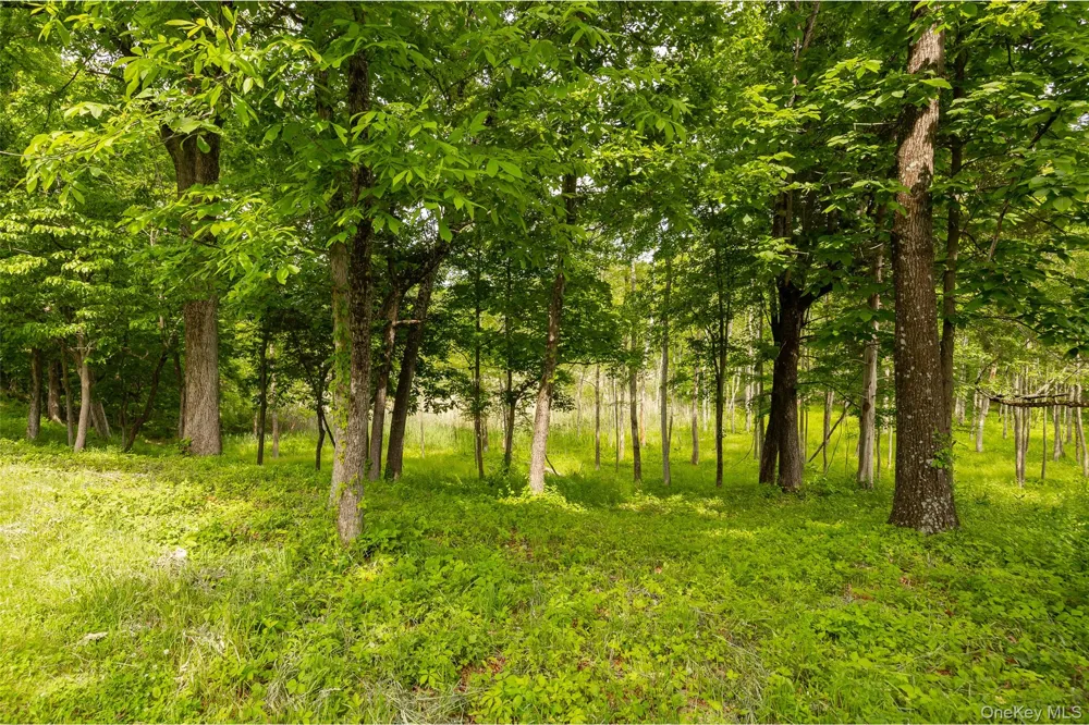 12 Nichris Lane Staatsburg, NY 12580