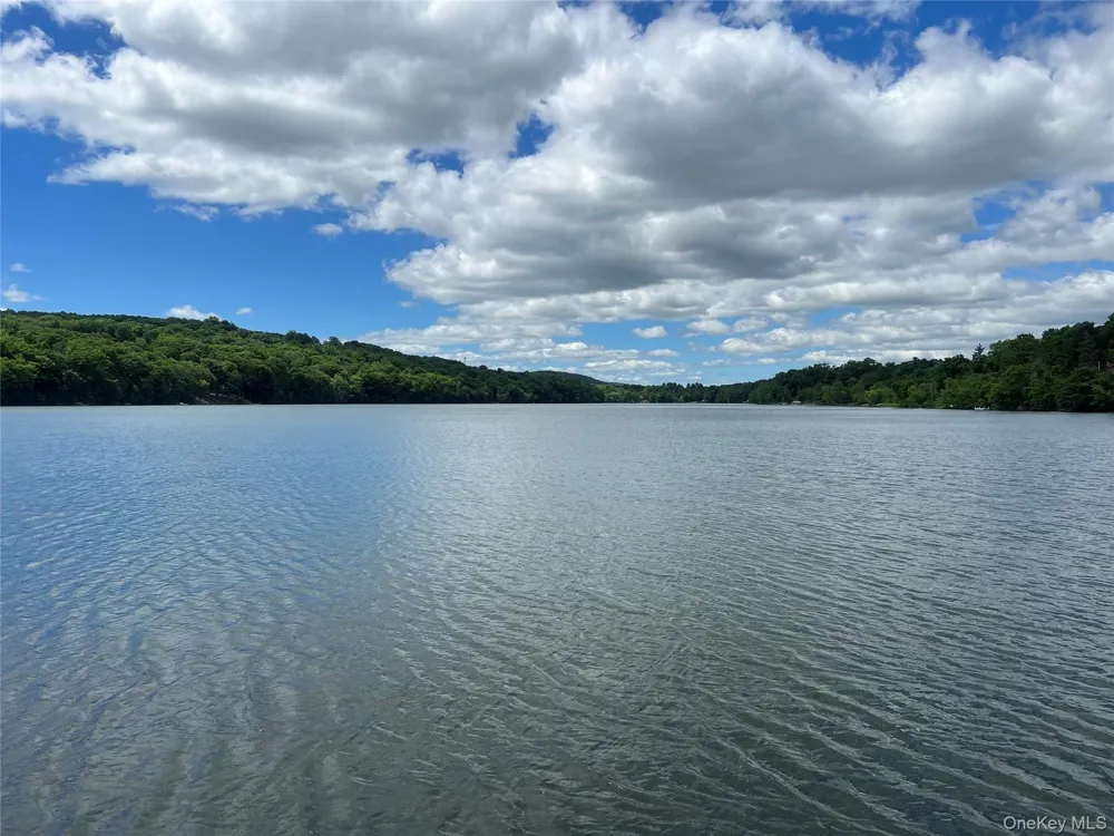 92 Walton Terrace Monroe, NY 10950