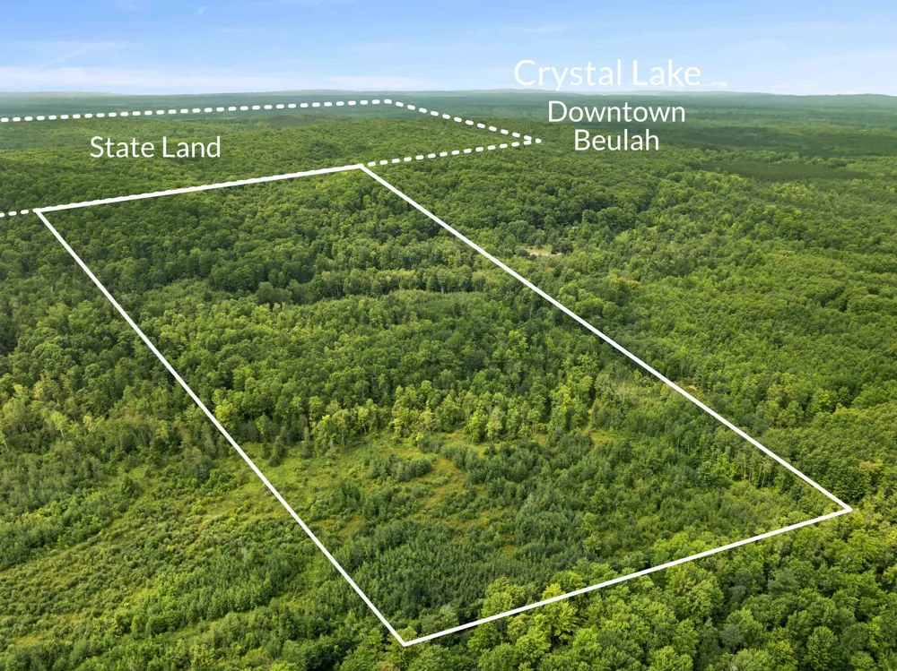 S Thompsonville Highway Colfax Township, MI 49683