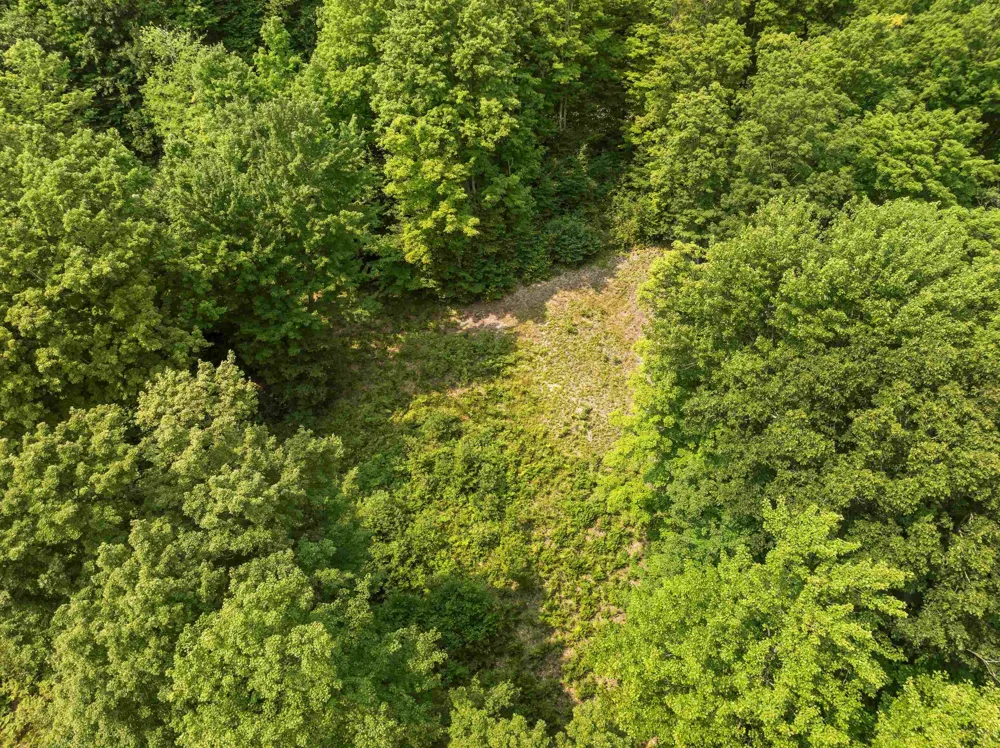 S Thompsonville Highway Colfax Township, MI 49683