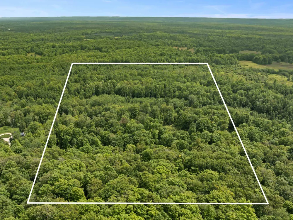 S Thompsonville Highway Colfax Township, MI 49683