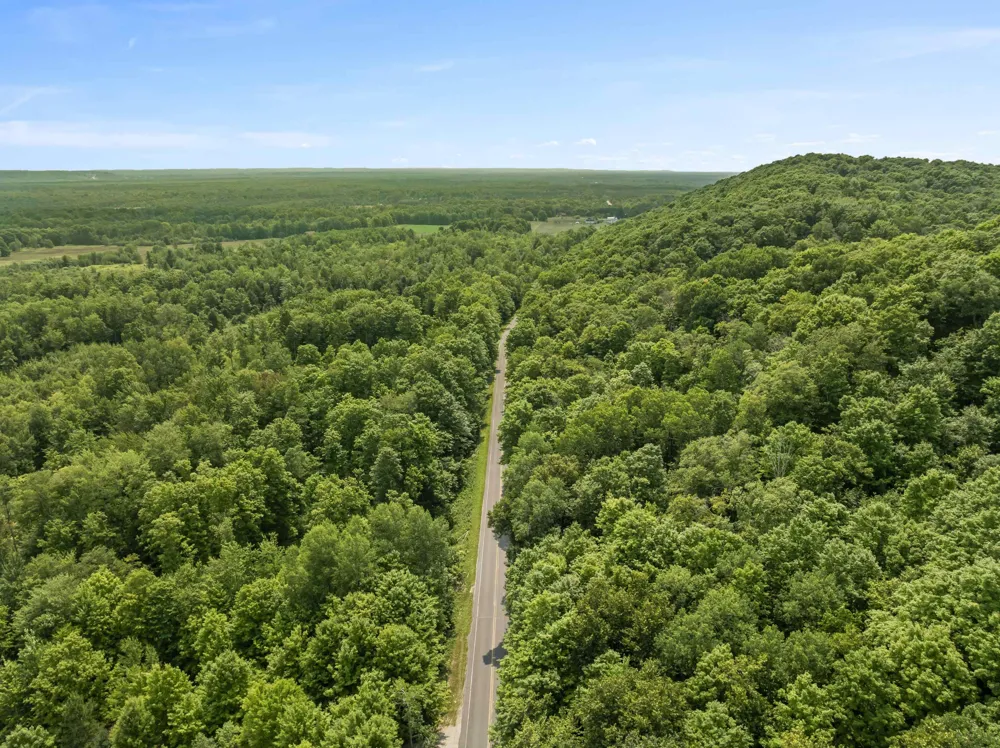S Thompsonville Highway Colfax Township, MI 49683