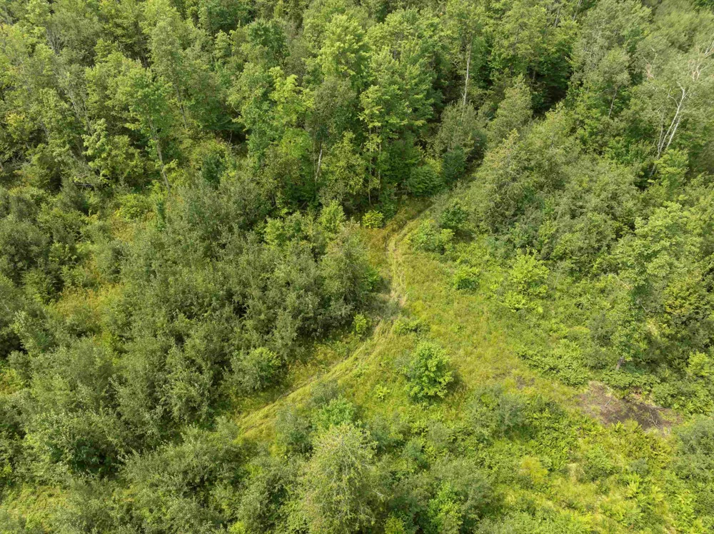S Thompsonville Highway Colfax Township, MI 49683