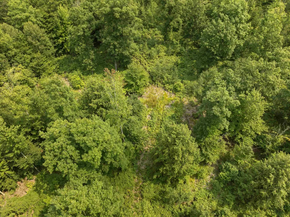 S Thompsonville Highway Colfax Township, MI 49683