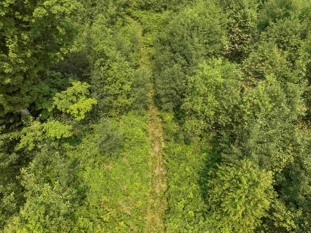 S Thompsonville Highway Colfax Township, MI 49683
