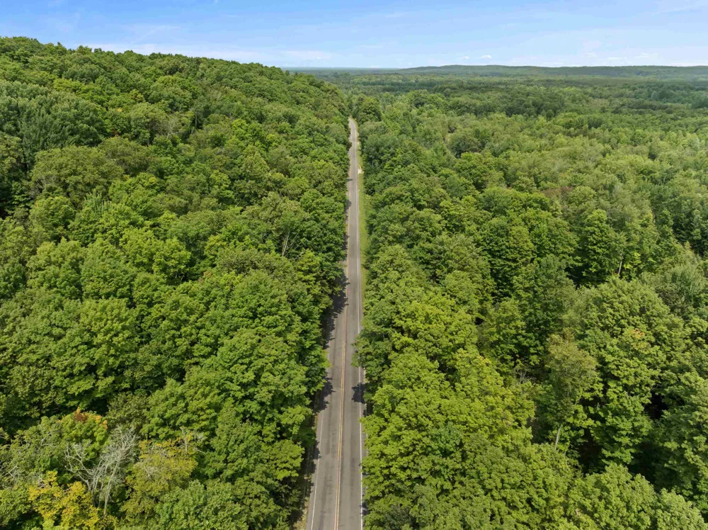 S Thompsonville Highway Colfax Township, MI 49683