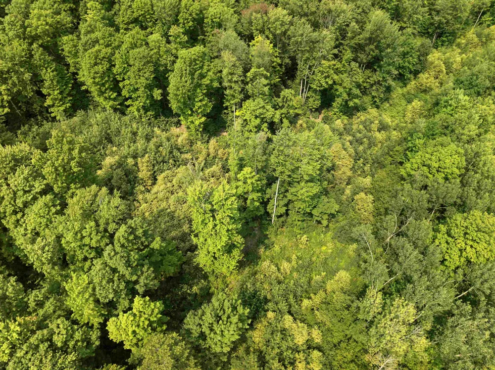 S Thompsonville Highway Colfax Township, MI 49683