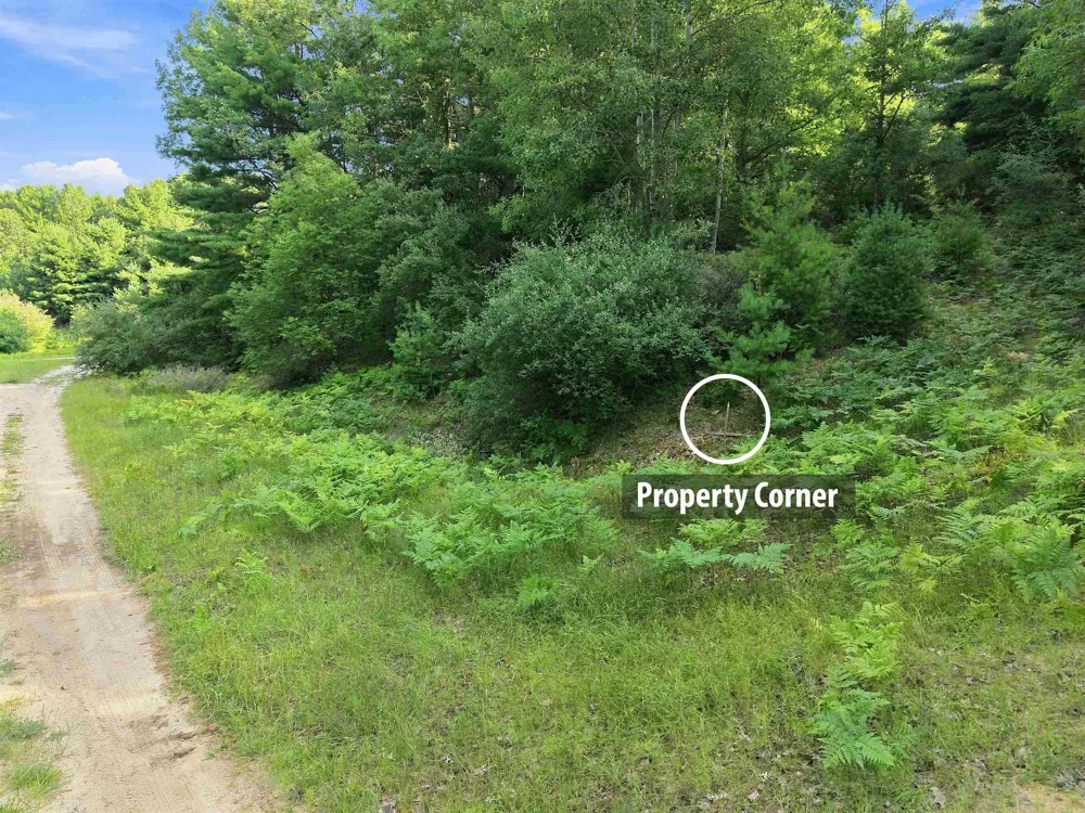 Kirkridge Drive Acme Township, MI 49690