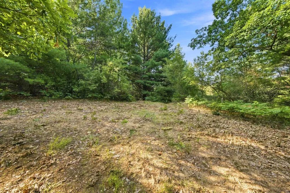 Kirkridge Drive Acme Township, MI 49690
