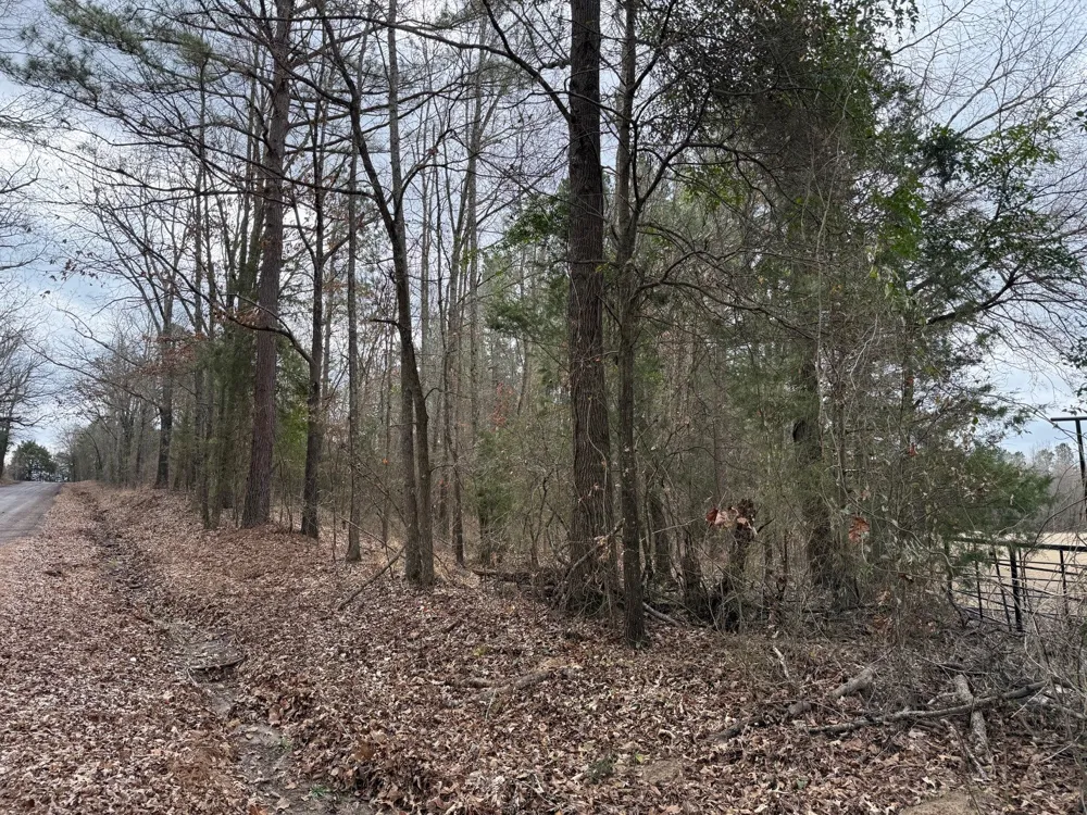 County Road 3986 Winnsboro, TX 75494