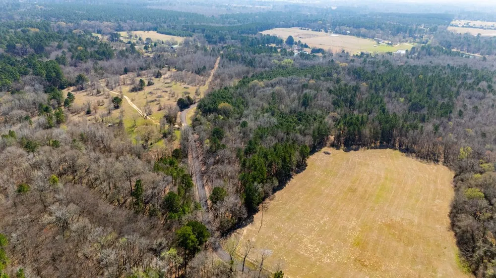 County Road 3986 Winnsboro, TX 75494