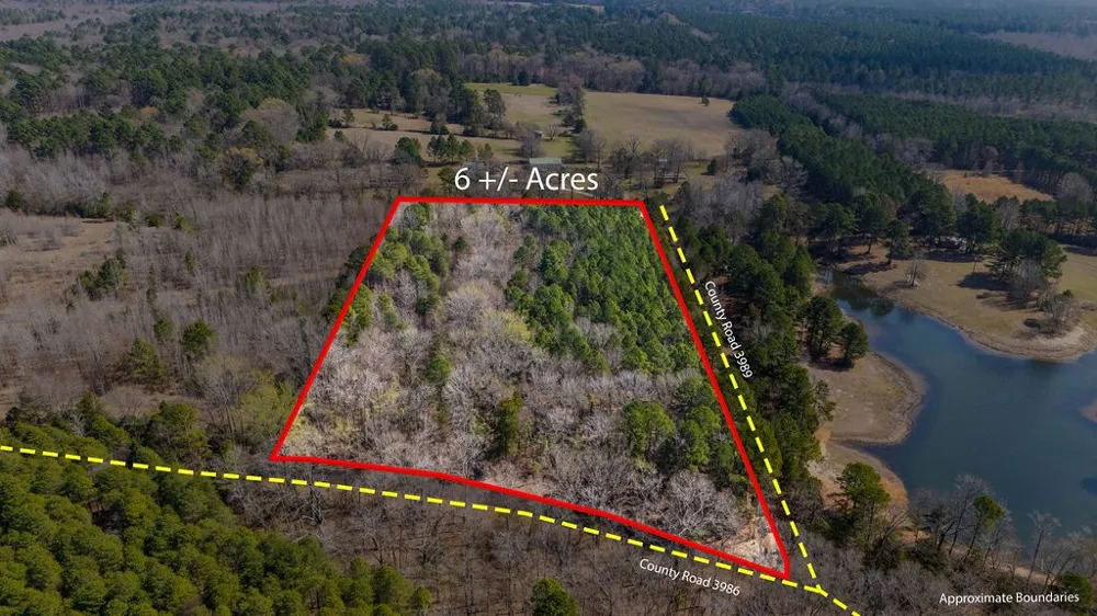 County Road 3986 Winnsboro, TX 75494