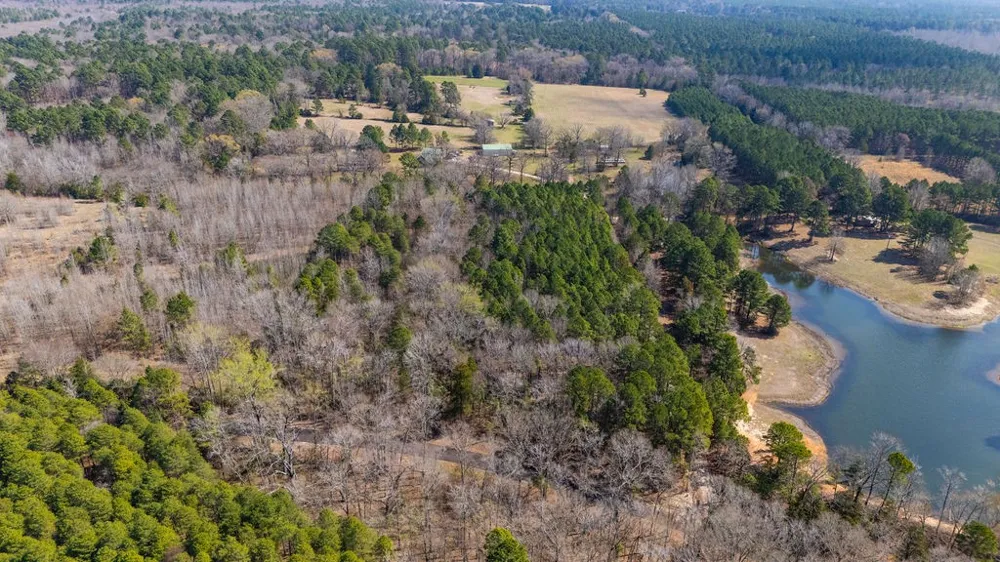County Road 3986 Winnsboro, TX 75494