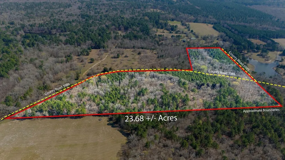 County Road 3986 Winnsboro, TX 75494