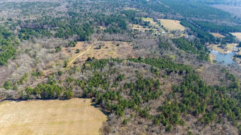 County Road 3986 Winnsboro, TX 75494