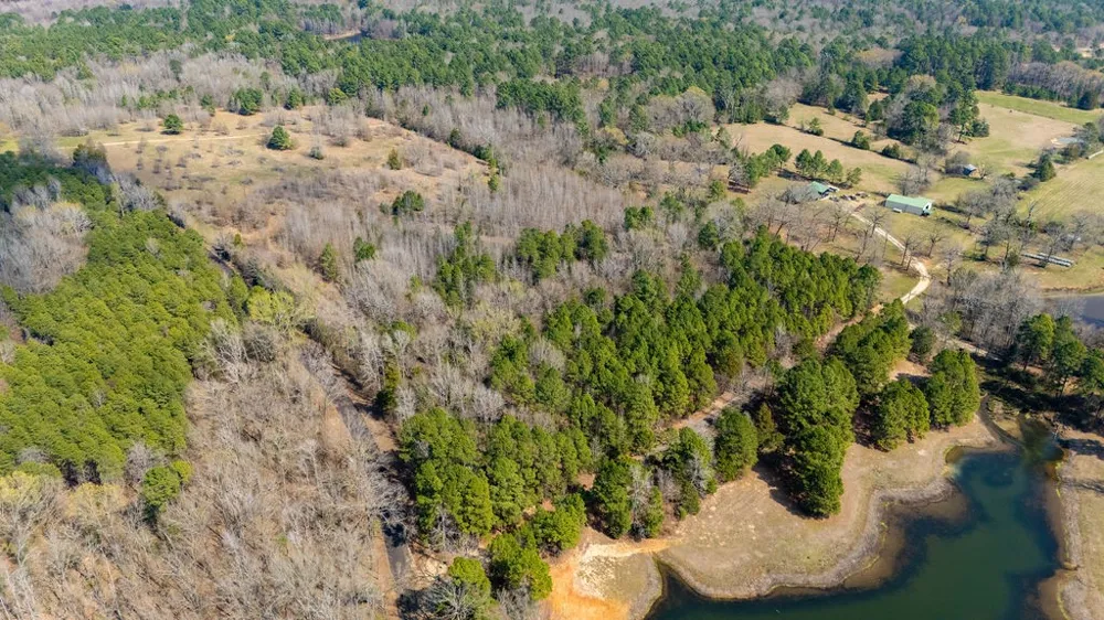 County Road 3986 Winnsboro, TX 75494