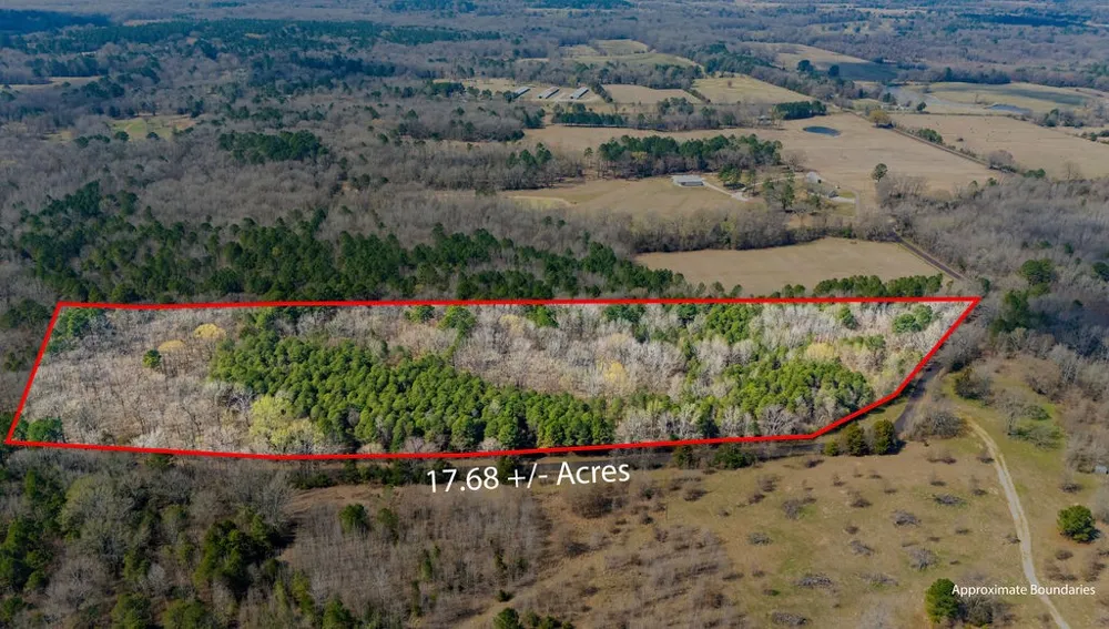County Road 3986 Winnsboro, TX 75494