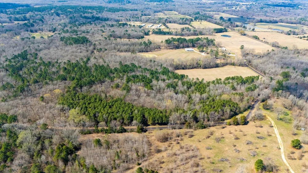 County Road 3986 Winnsboro, TX 75494