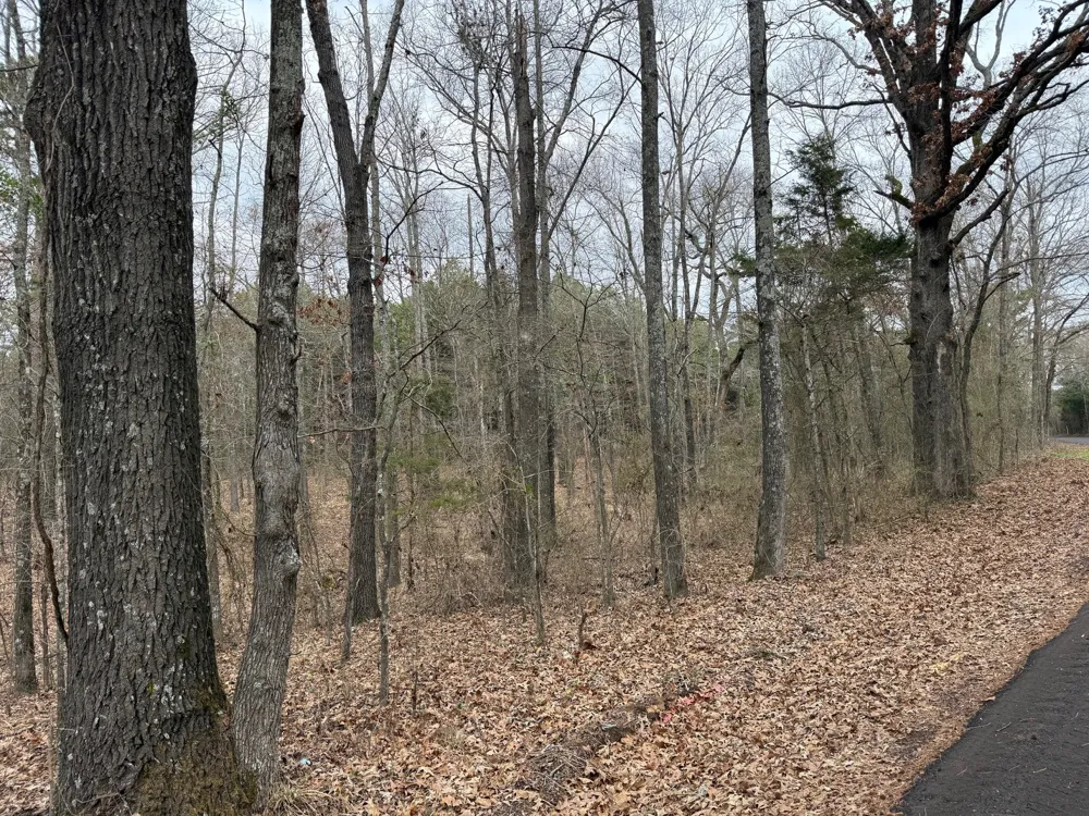 County Road 3986 Winnsboro, TX 75494