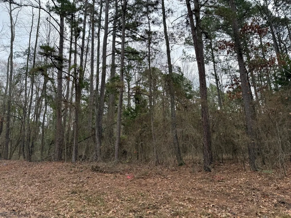 County Road 3986 Winnsboro, TX 75494