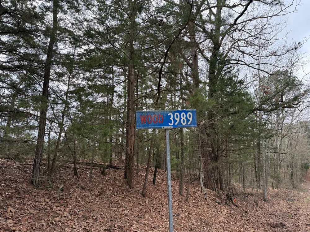 County Road 3986 Winnsboro, TX 75494